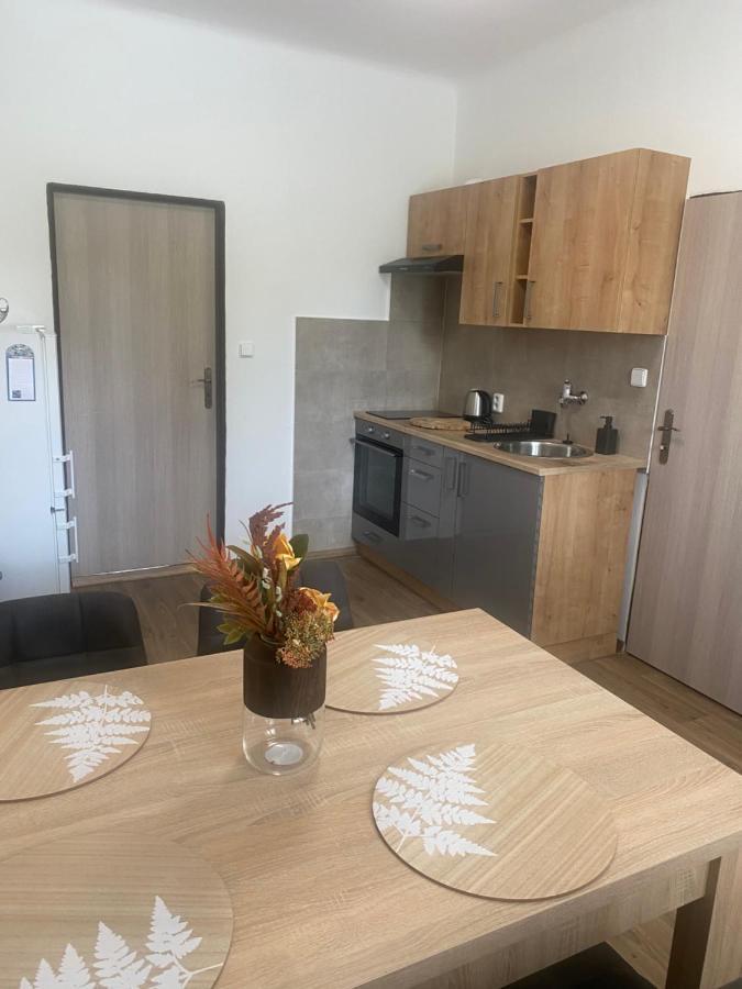 Cerna Ruze - Apartman 3 Plzeň Exterior foto
